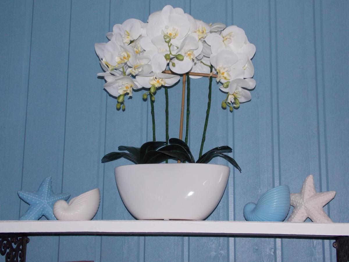 Chambre De La Nonne En Vacances Dol-de-Bretagne Esterno foto